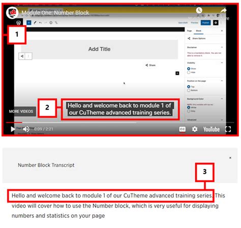 Video Transcripts/Closed Caption .